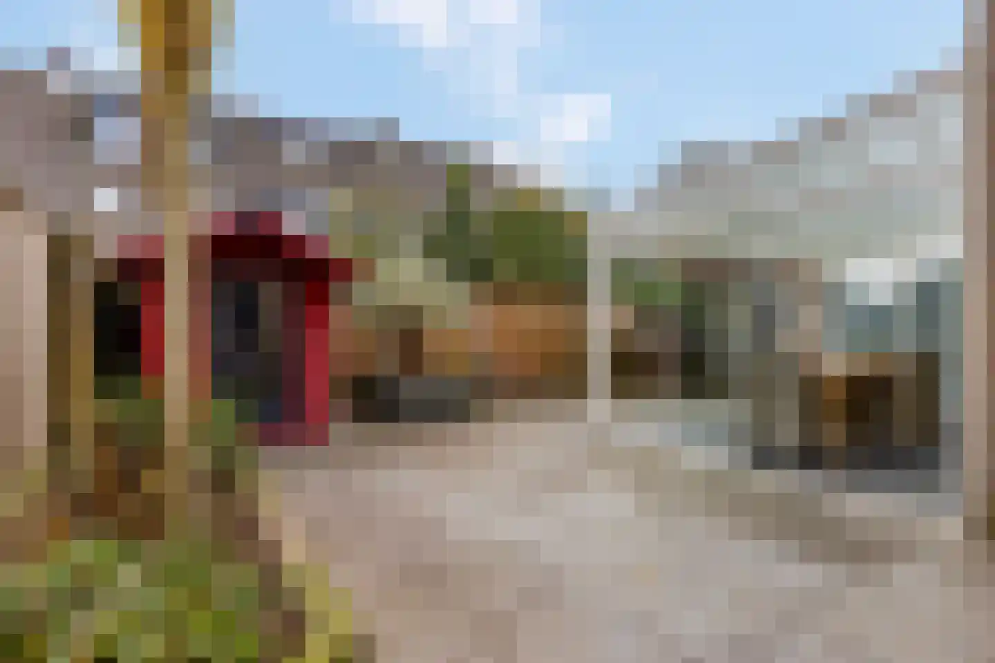 Bieslook 63 Oisterwijk thumbnail 39