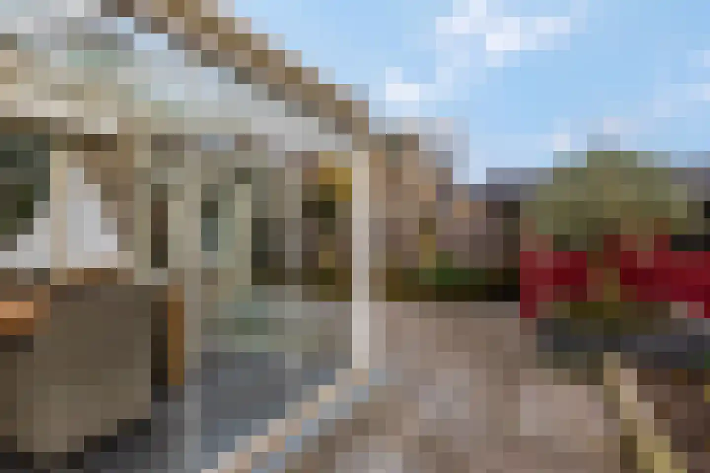Bieslook 63 Oisterwijk thumbnail 41