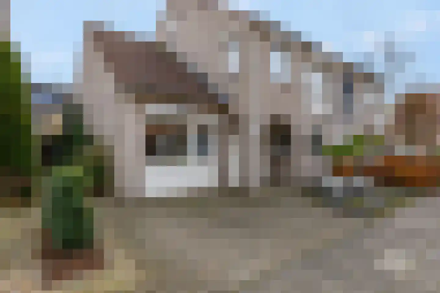 Bieslook 63 Oisterwijk thumbnail 43