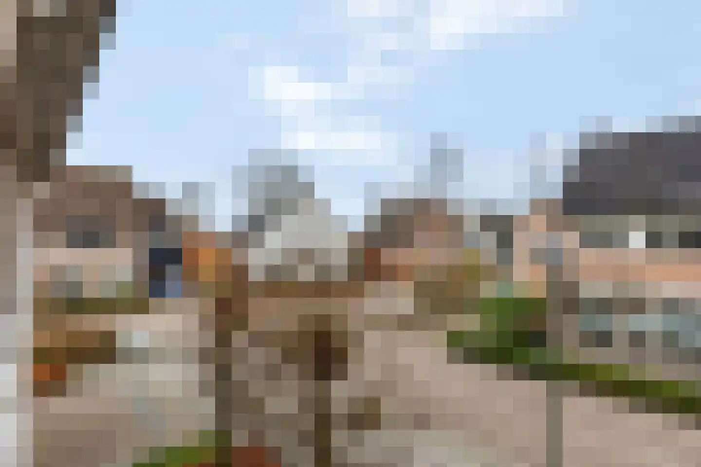 Bieslook 63 Oisterwijk thumbnail 48