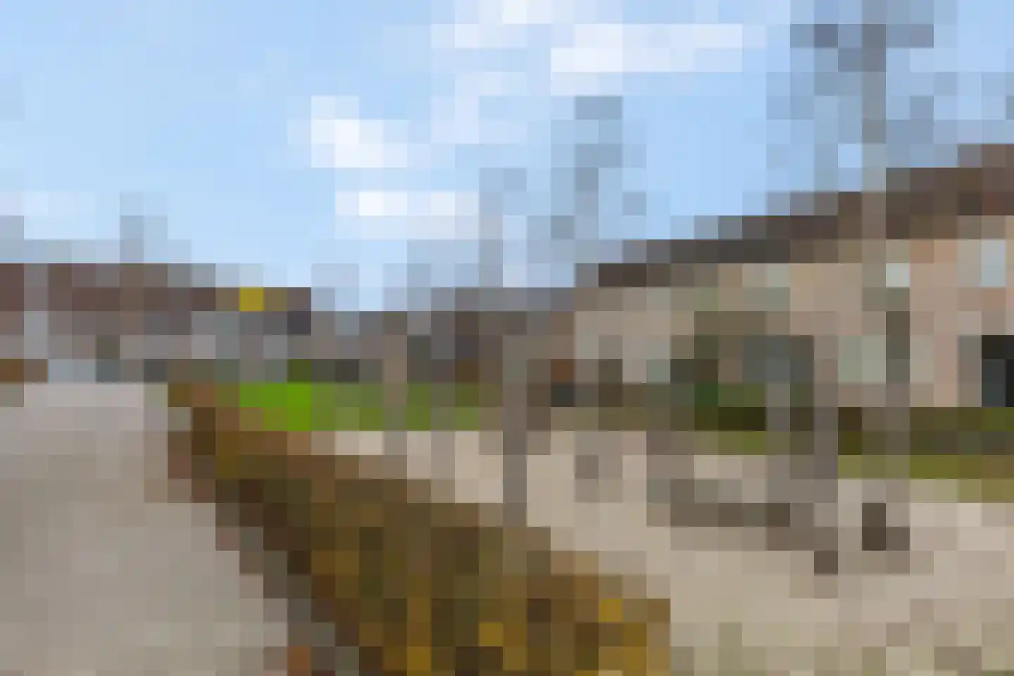 Bieslook 63 Oisterwijk thumbnail 49