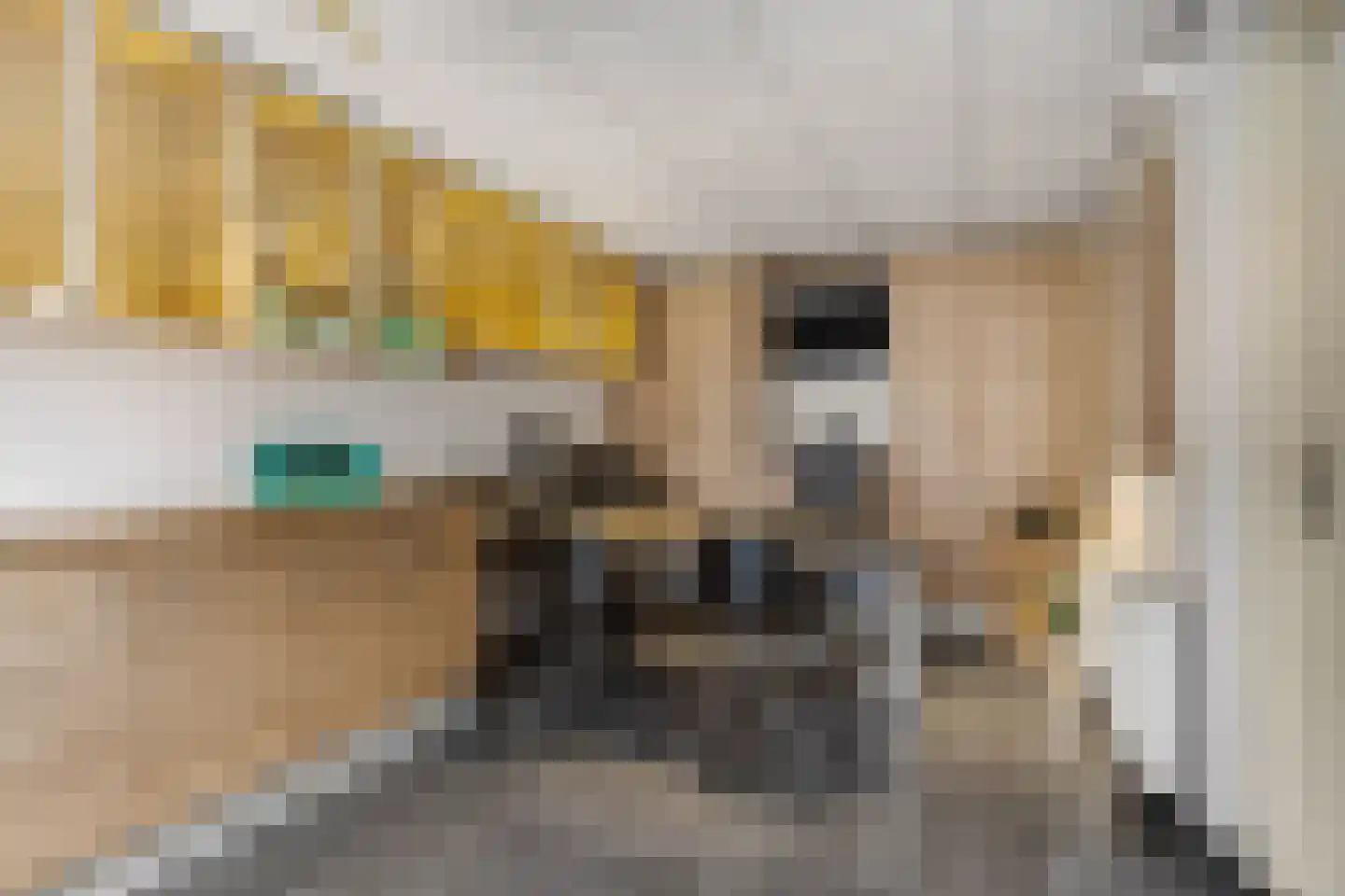 Bieslook 63 Oisterwijk thumbnail 5