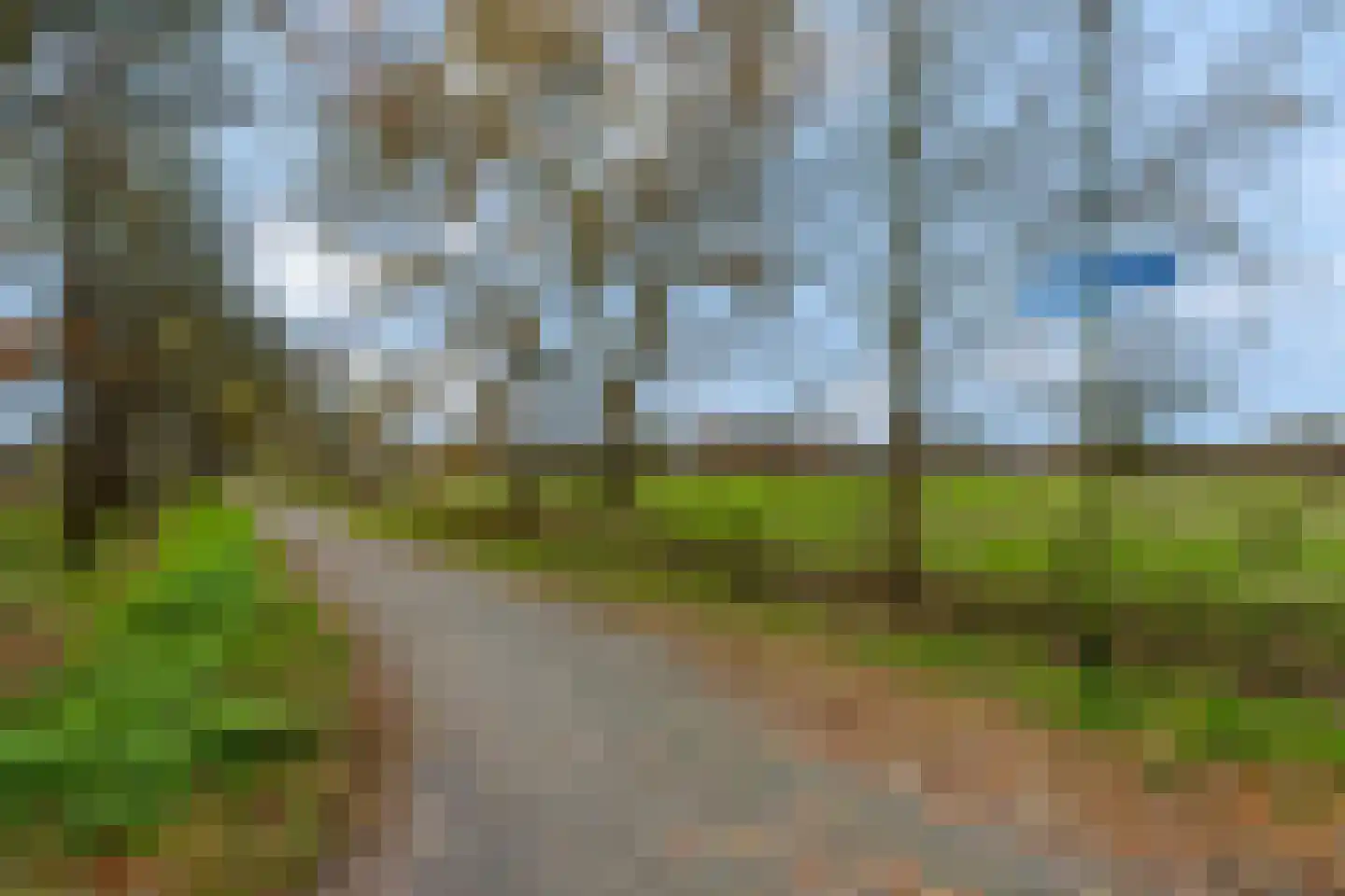 Bieslook 63 Oisterwijk thumbnail 50