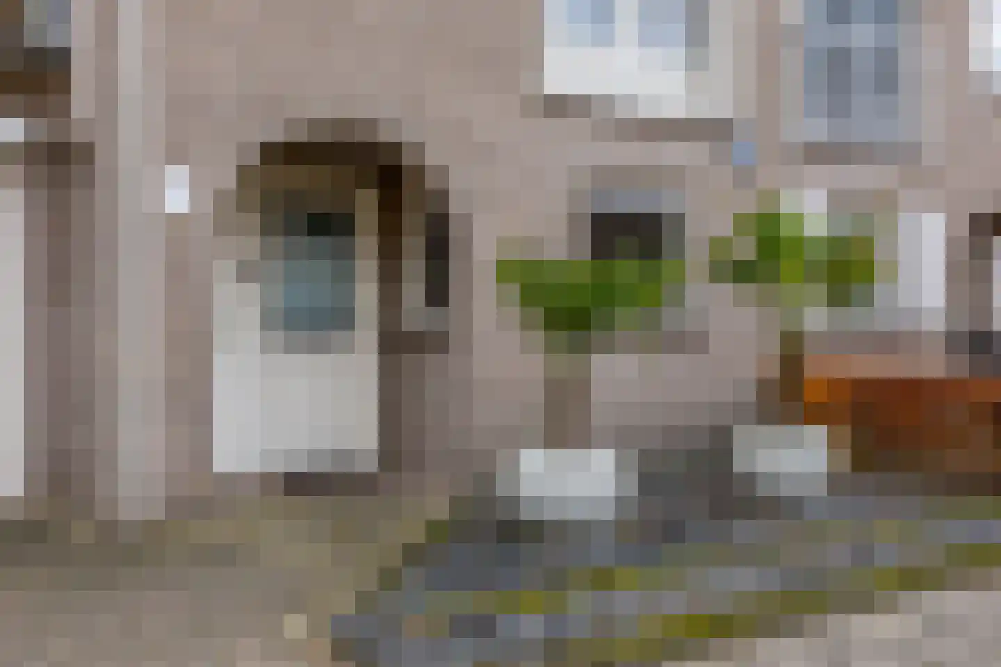 Bieslook 63 Oisterwijk thumbnail 7
