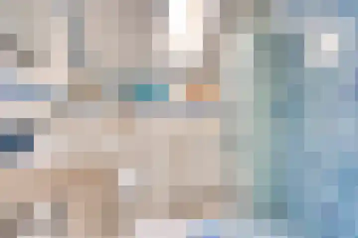 Bieslook 7 Oisterwijk thumbnail 16