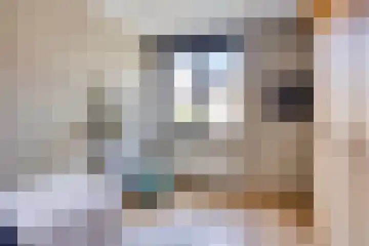 Bieslook 7 Oisterwijk thumbnail 18