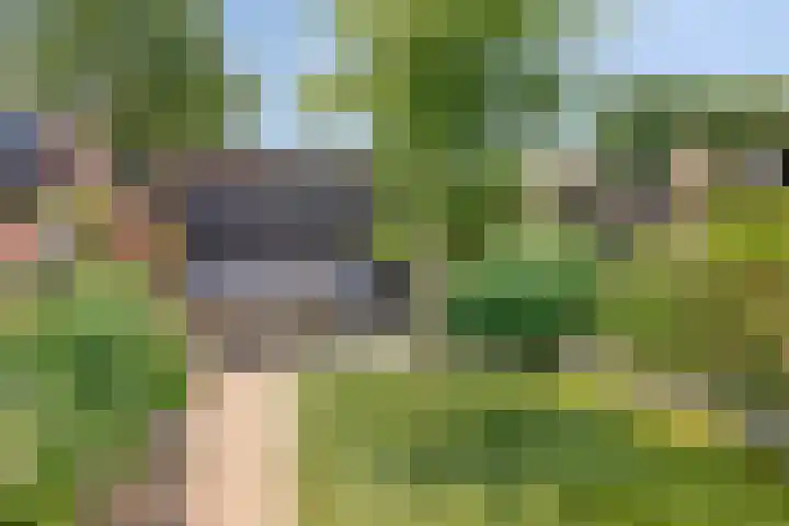 Bieslook 7 Oisterwijk thumbnail 25