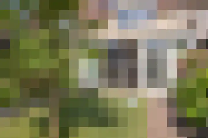 Bieslook 7 Oisterwijk thumbnail 26
