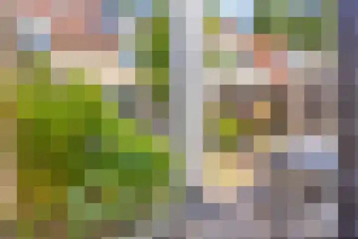 Bieslook 7 Oisterwijk thumbnail 27