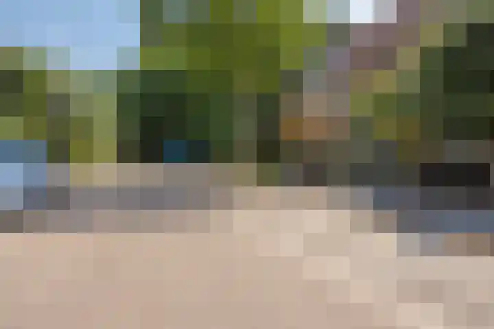 Bieslook 7 Oisterwijk thumbnail 28