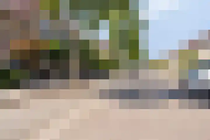 Bieslook 7 Oisterwijk thumbnail 29