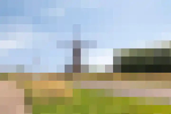Bieslook 7 Oisterwijk thumbnail 30