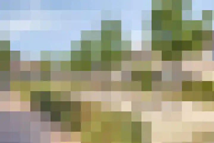 Bieslook 7 Oisterwijk thumbnail 31