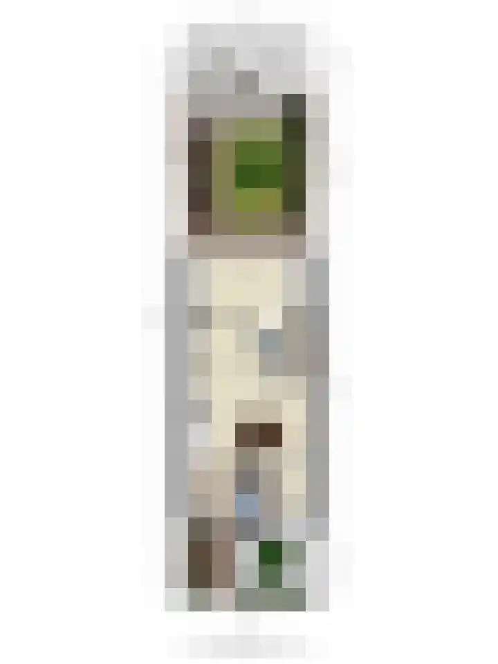 Bieslook 7 Oisterwijk thumbnail 33