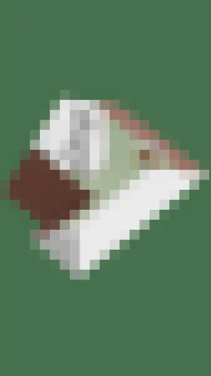 Bieslook 7 Oisterwijk thumbnail 38
