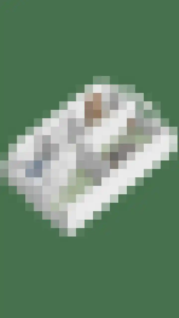 Bieslook 7 Oisterwijk thumbnail 39
