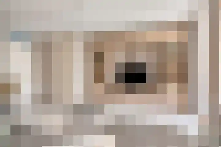 Bieslook 7 Oisterwijk thumbnail 4