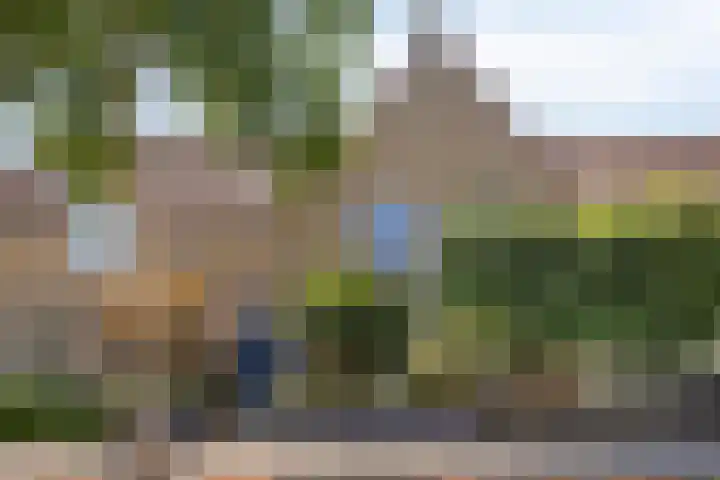Bieslook 7 Oisterwijk thumbnail 42