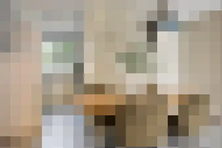 Bieslook 7 Oisterwijk thumbnail 6