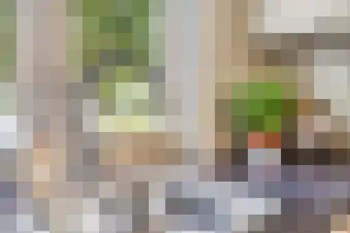 Bieslook 7 Oisterwijk thumbnail 8