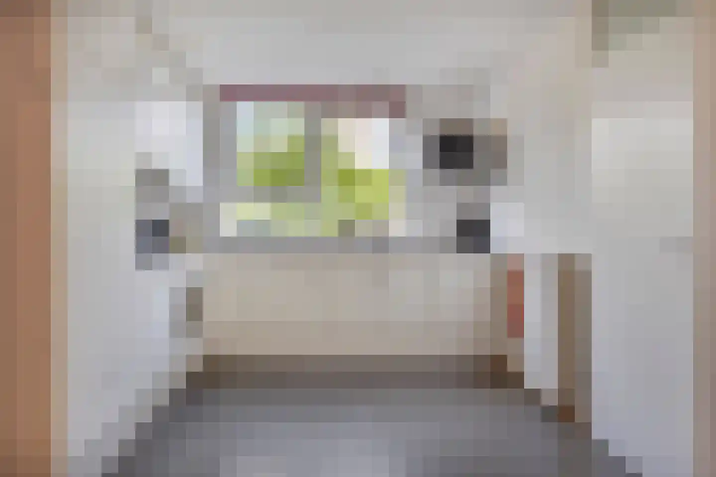 Bieslookgaarde 13 Gouda thumbnail 10