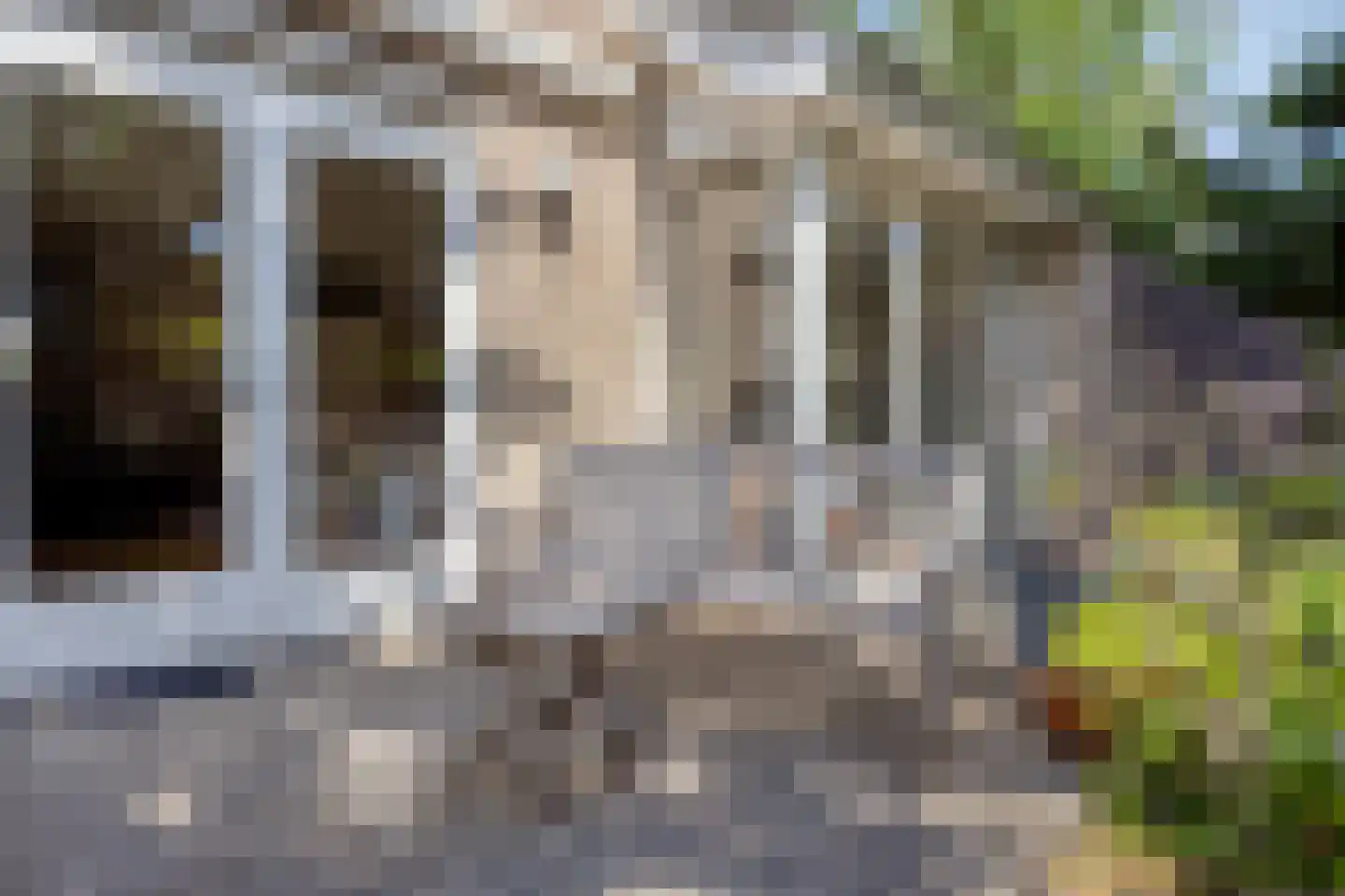 Bieslookgaarde 13 Gouda thumbnail 14
