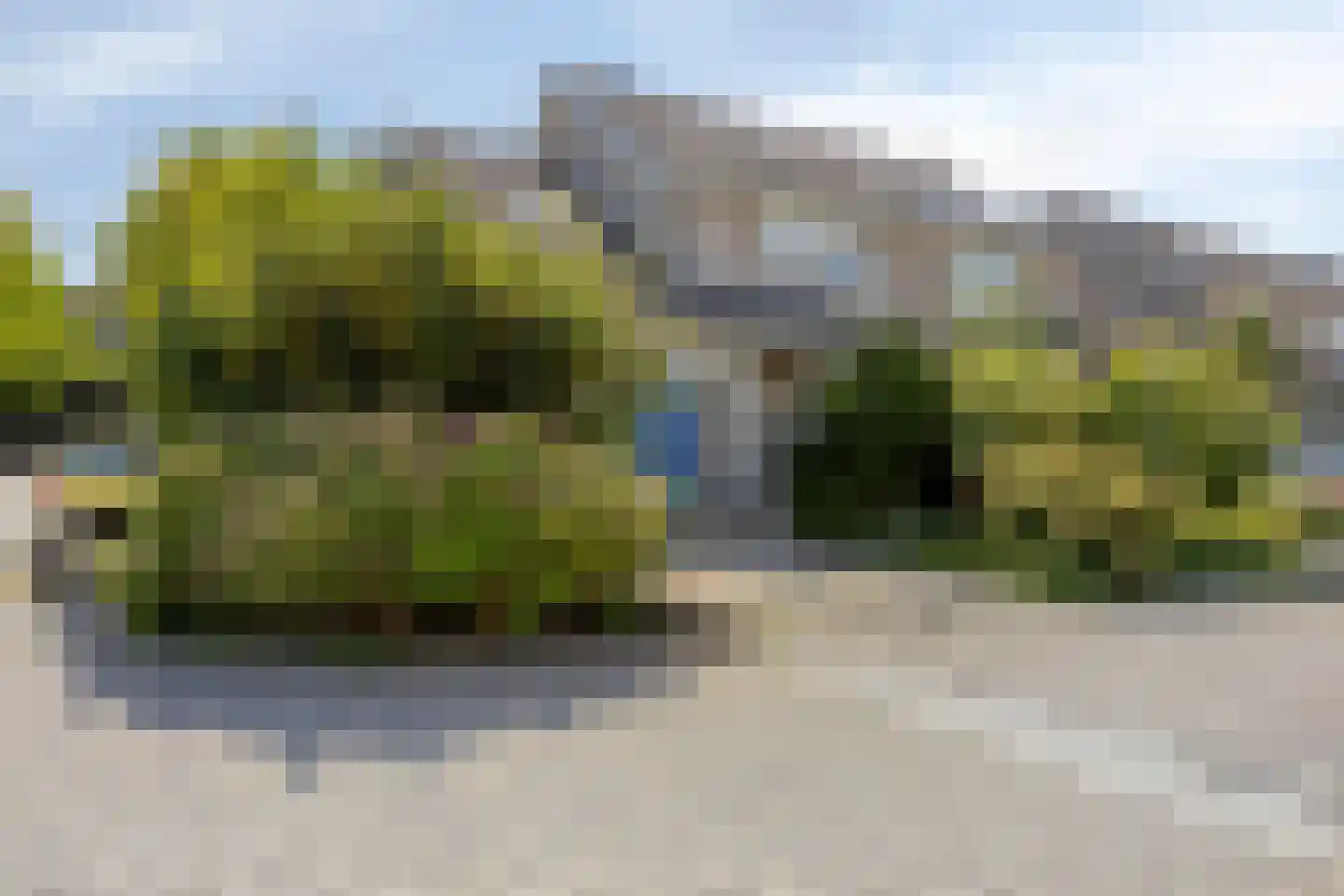 Bieslookgaarde 13 Gouda thumbnail 40