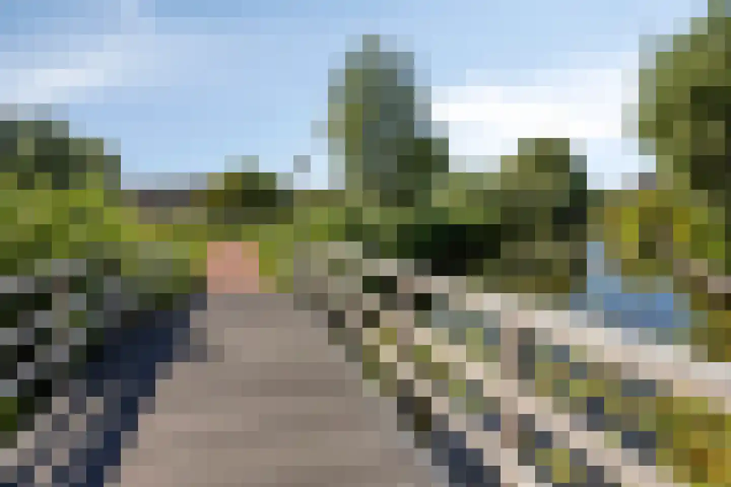 Bieslookgaarde 13 Gouda thumbnail 43