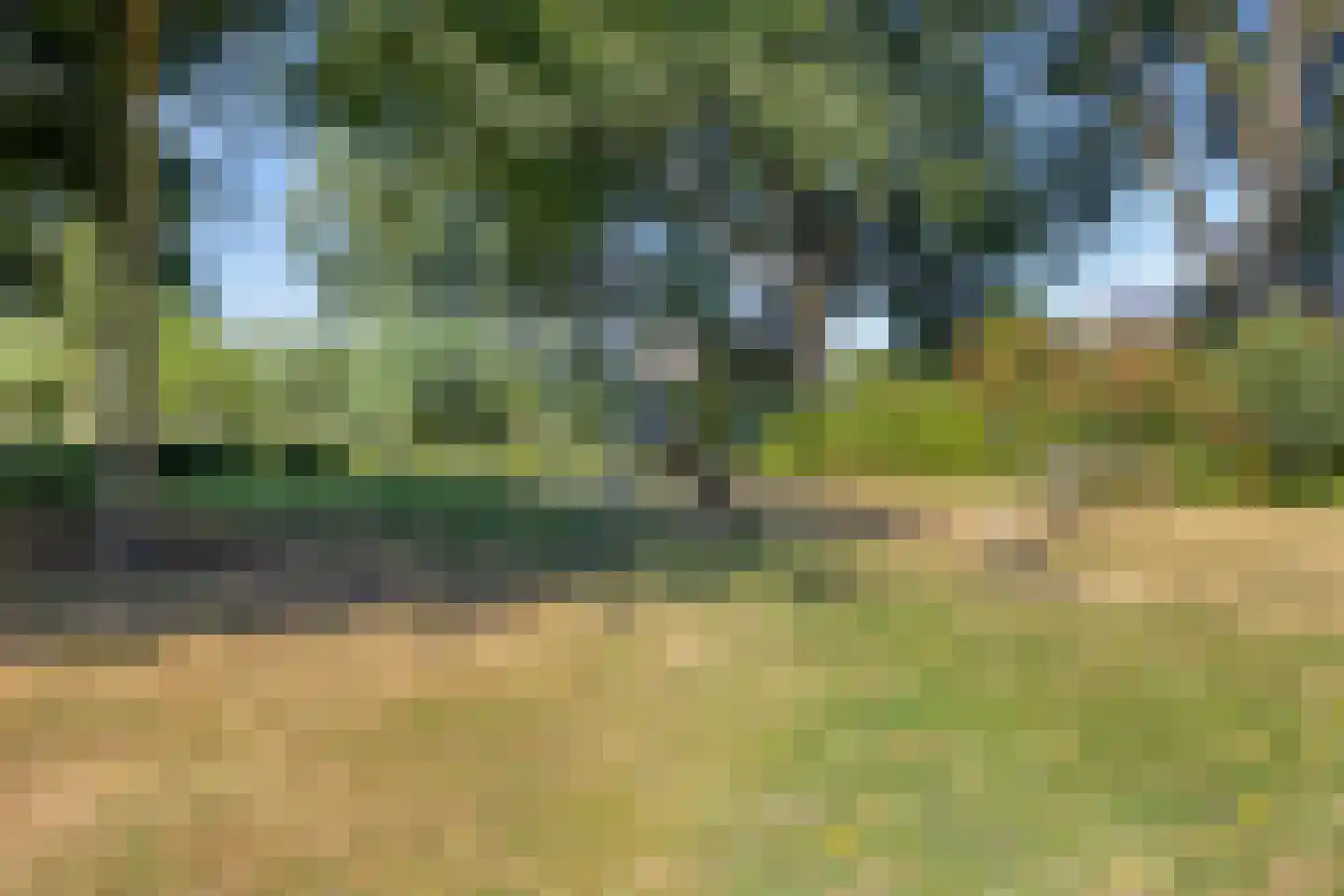 Bieslookgaarde 13 Gouda thumbnail 45