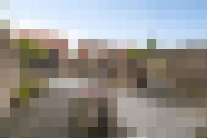Bieslookstraat 13 Heinkenszand thumbnail 18