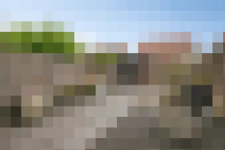 Bieslookstraat 13 Heinkenszand thumbnail 19