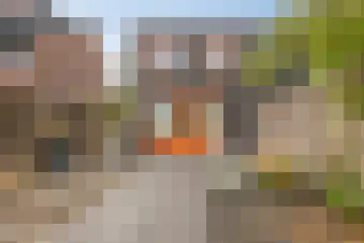Bieslookstraat 13 Heinkenszand thumbnail 20