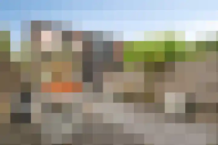 Bieslookstraat 13 Heinkenszand thumbnail 21