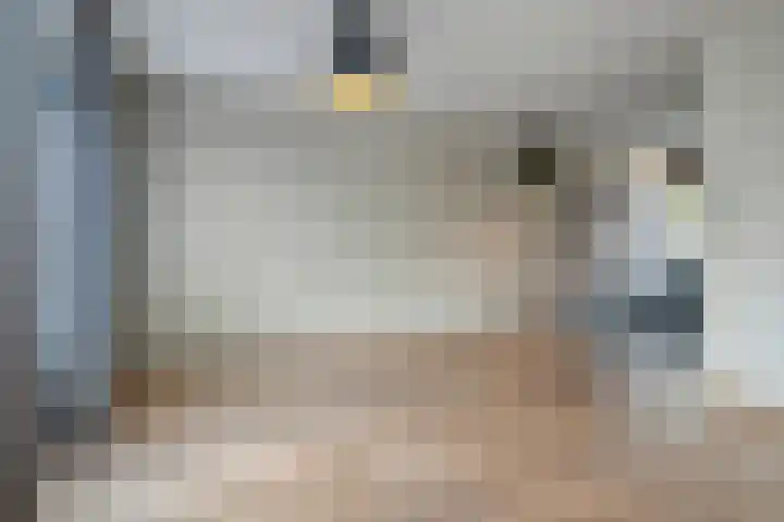 Bieslookstraat 13 Heinkenszand thumbnail 7