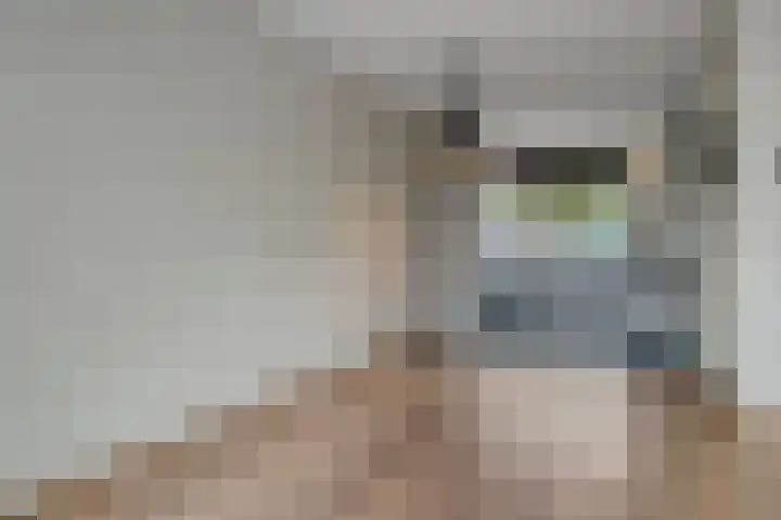 Bieslookstraat 13 Heinkenszand thumbnail 8