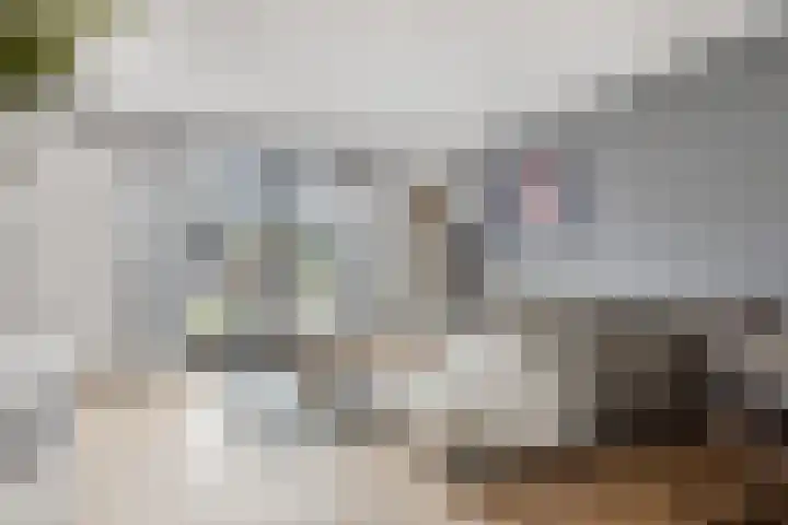 Bieslookstraat 19 Heinkenszand thumbnail 10