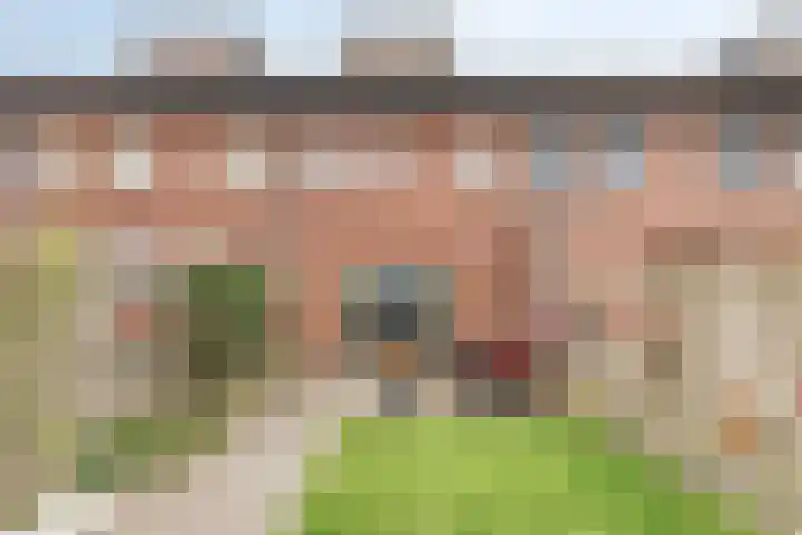 Bieslookstraat 19 Heinkenszand thumbnail 29