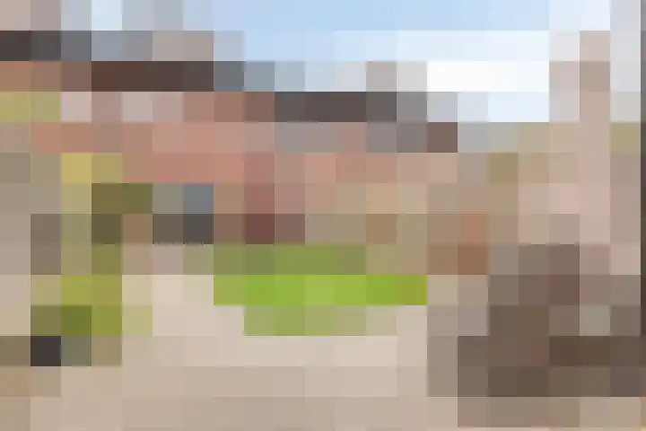 Bieslookstraat 19 Heinkenszand thumbnail 30