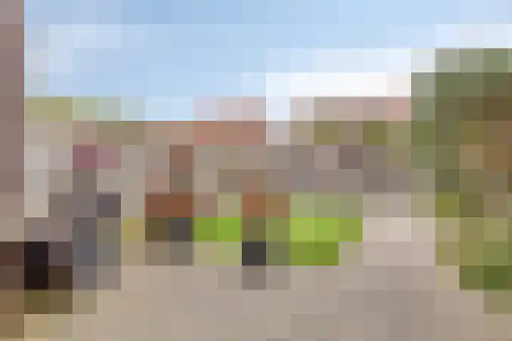 Bieslookstraat 19 Heinkenszand thumbnail 31