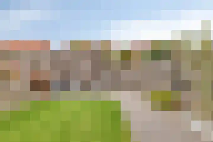 Bieslookstraat 19 Heinkenszand thumbnail 32