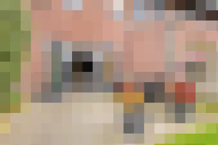 Bieslookstraat 19 Heinkenszand thumbnail 34