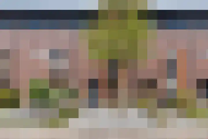 Bieslookstraat 19 Heinkenszand thumbnail 37