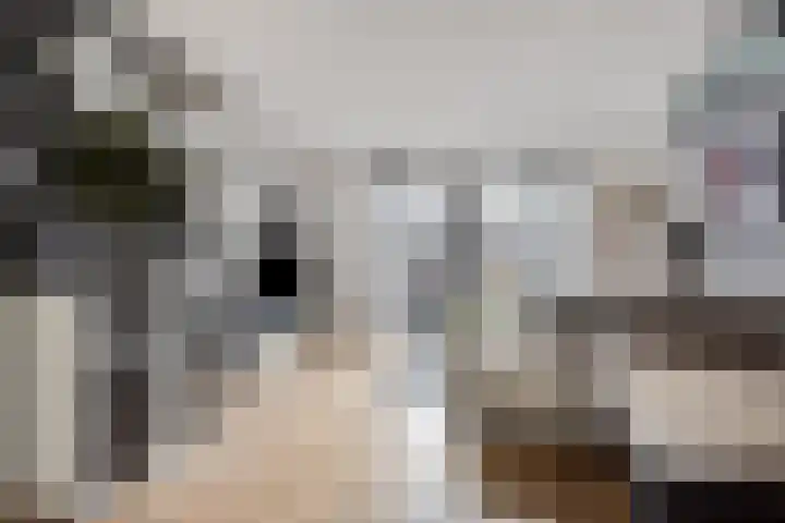 Bieslookstraat 19 Heinkenszand thumbnail 8