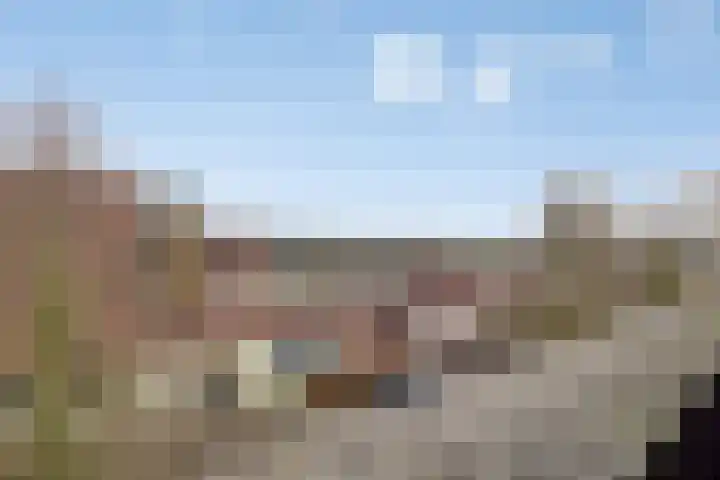 Bieslookstraat 23 Heinkenszand thumbnail 4