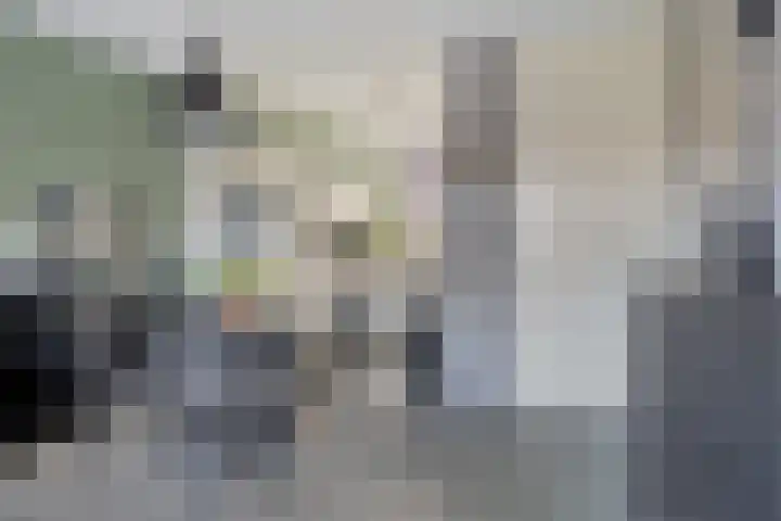 Bieslookstraat 23 Heinkenszand thumbnail 7