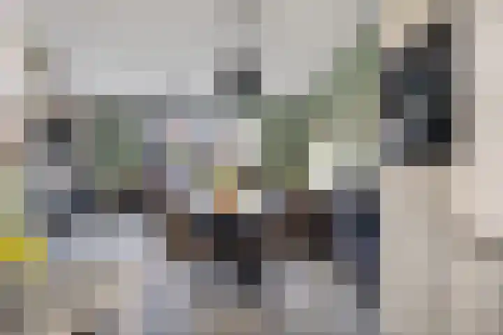 Bieslookstraat 23 Heinkenszand thumbnail 8