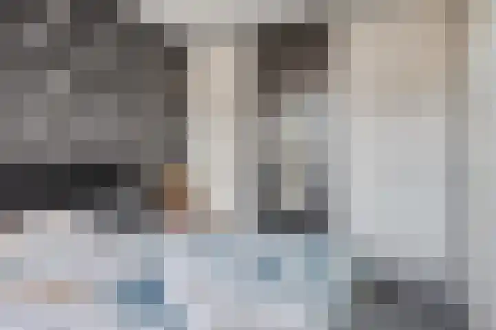 Bieslookstraat 23 Heinkenszand thumbnail 9