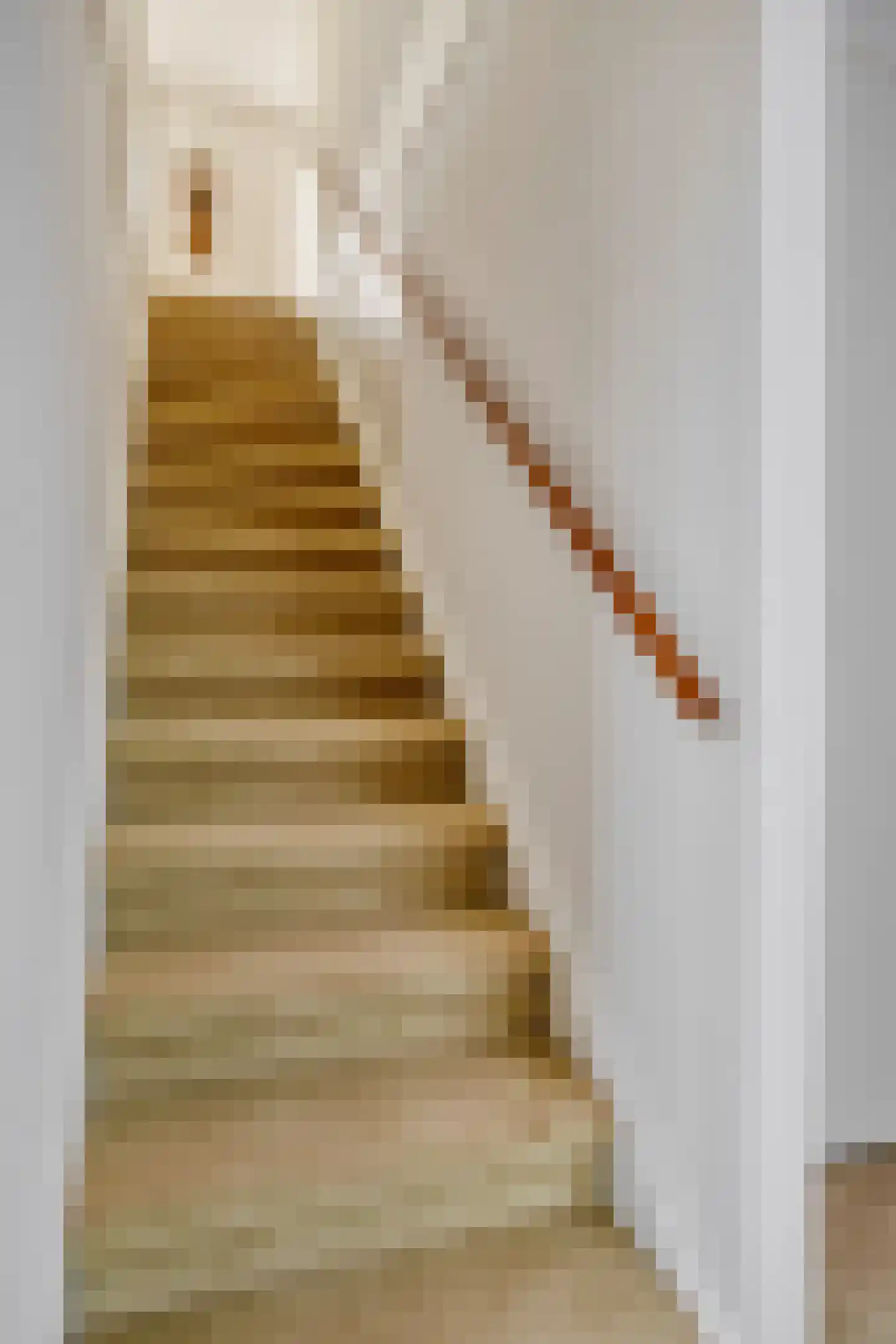 Bieslookstraat 4 Heinkenszand thumbnail 27