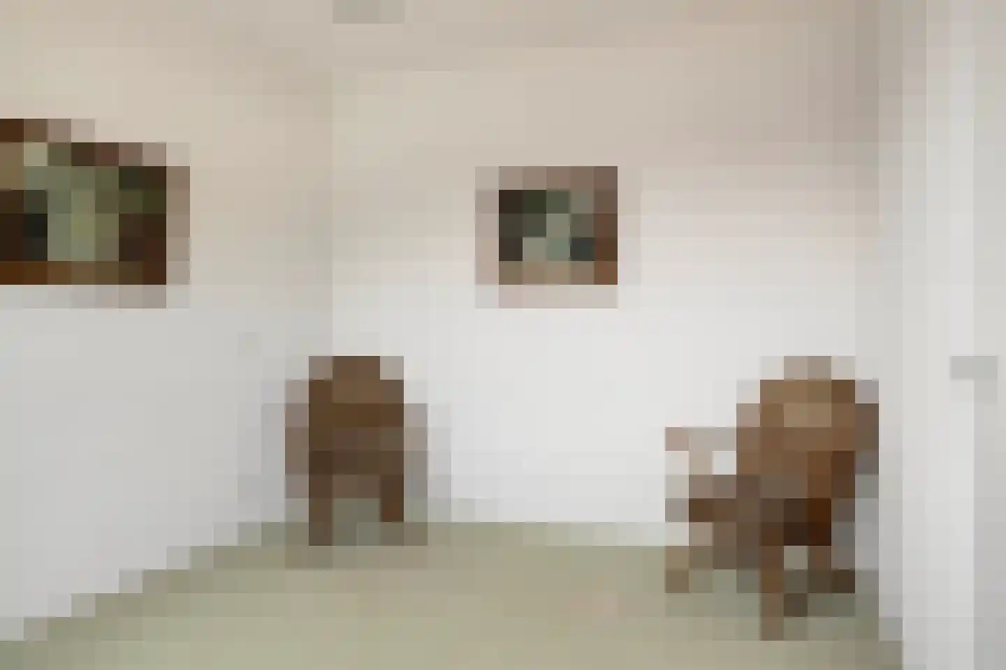 Bieslookstraat 4 Heinkenszand thumbnail 33