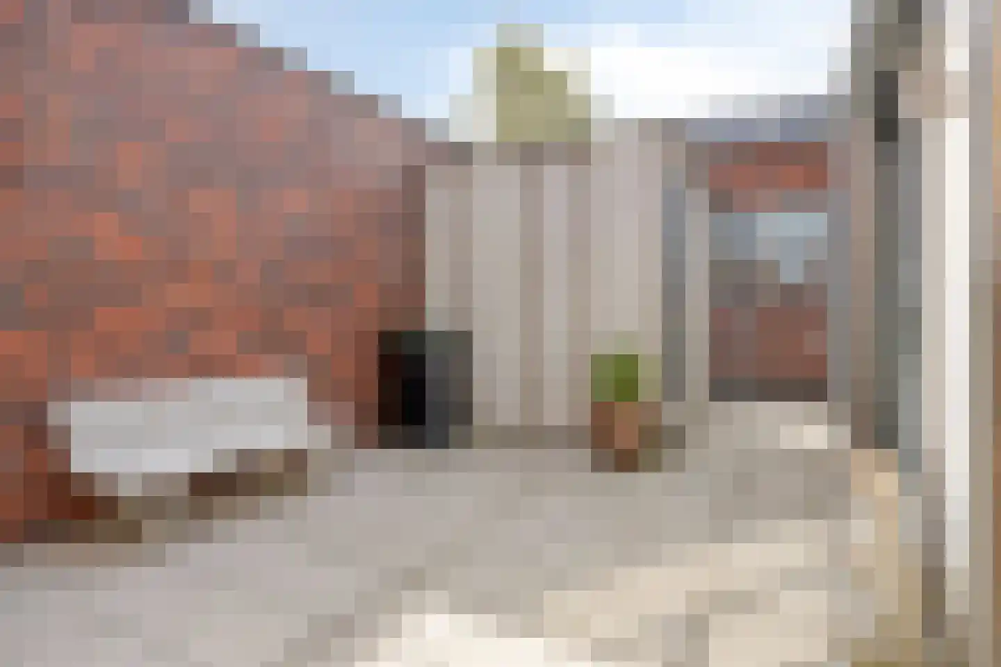 Bieslookstraat 4 Heinkenszand thumbnail 35